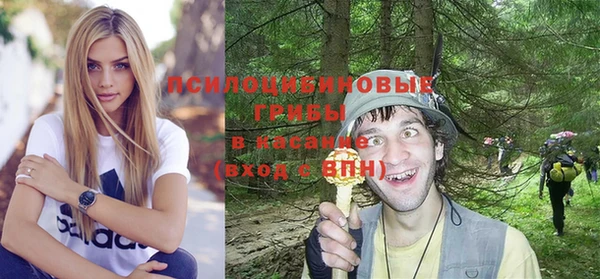 сатива Алексеевка