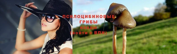 сатива Алексеевка