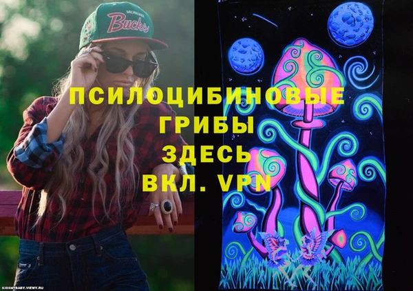 СК Алзамай