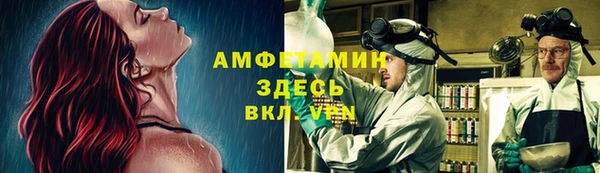 сатива Алексеевка
